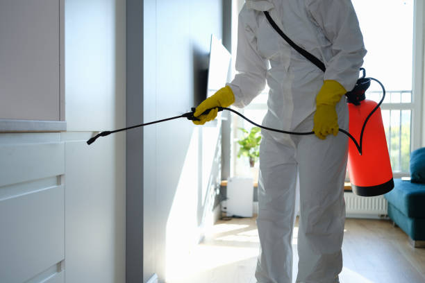 Best Mold Testing  in Milliken, CO