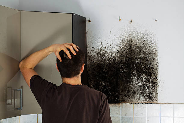 Crawl Space Mold Removal in Milliken, CO